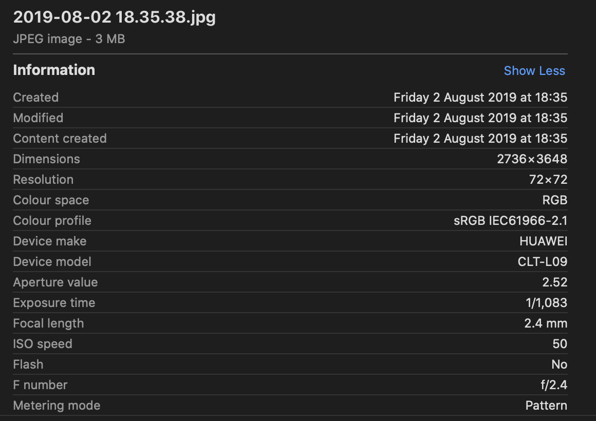 Preview of Image Metadata — Original Photograph Properties — 2 August 2019